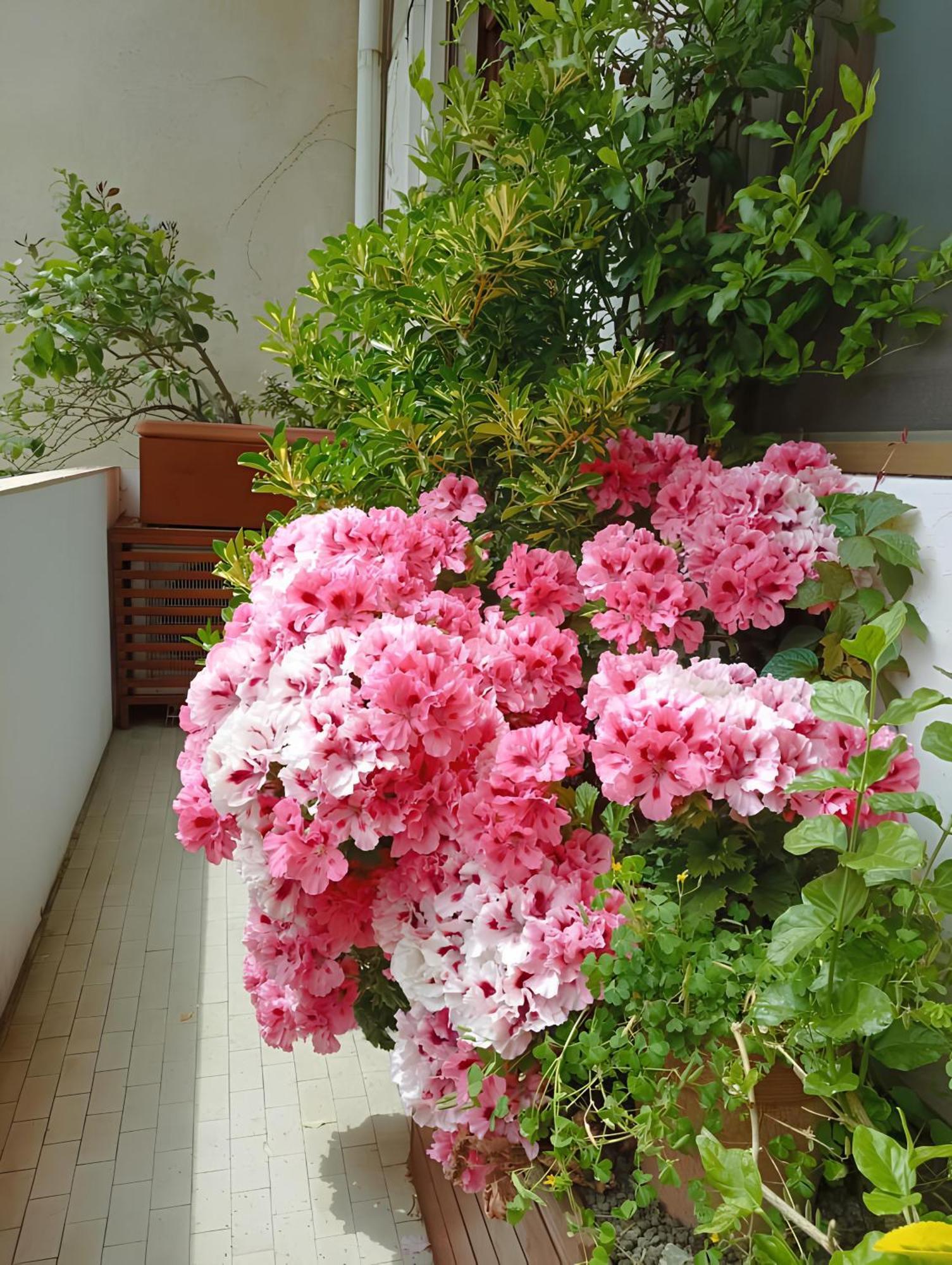 La Casa Dei Fiori Apartment Флоренция Екстериор снимка